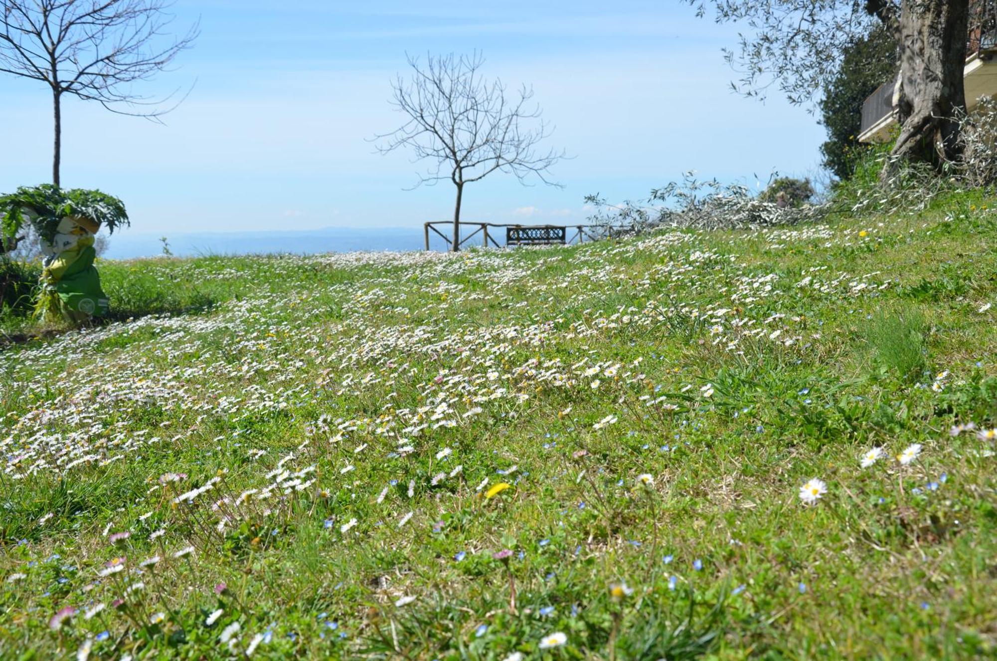 Vila Casa Franceschini Poggio Mirteto Exteriér fotografie